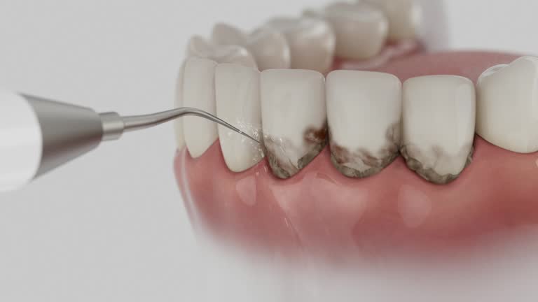 Reliable Dental contractor in Start, LA by Dentist Open Now